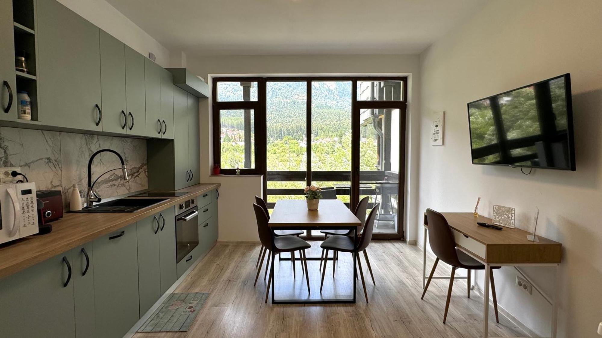 Busteni Mountain View Suites By The River - Ev Plug Εξωτερικό φωτογραφία